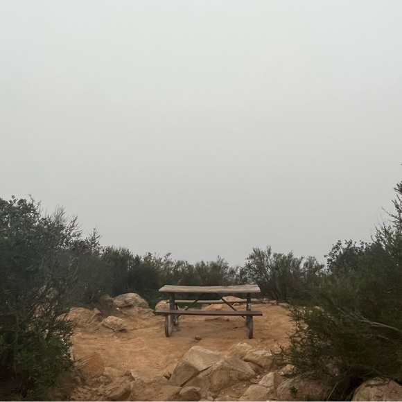 hello :) - Picture 11 of 15